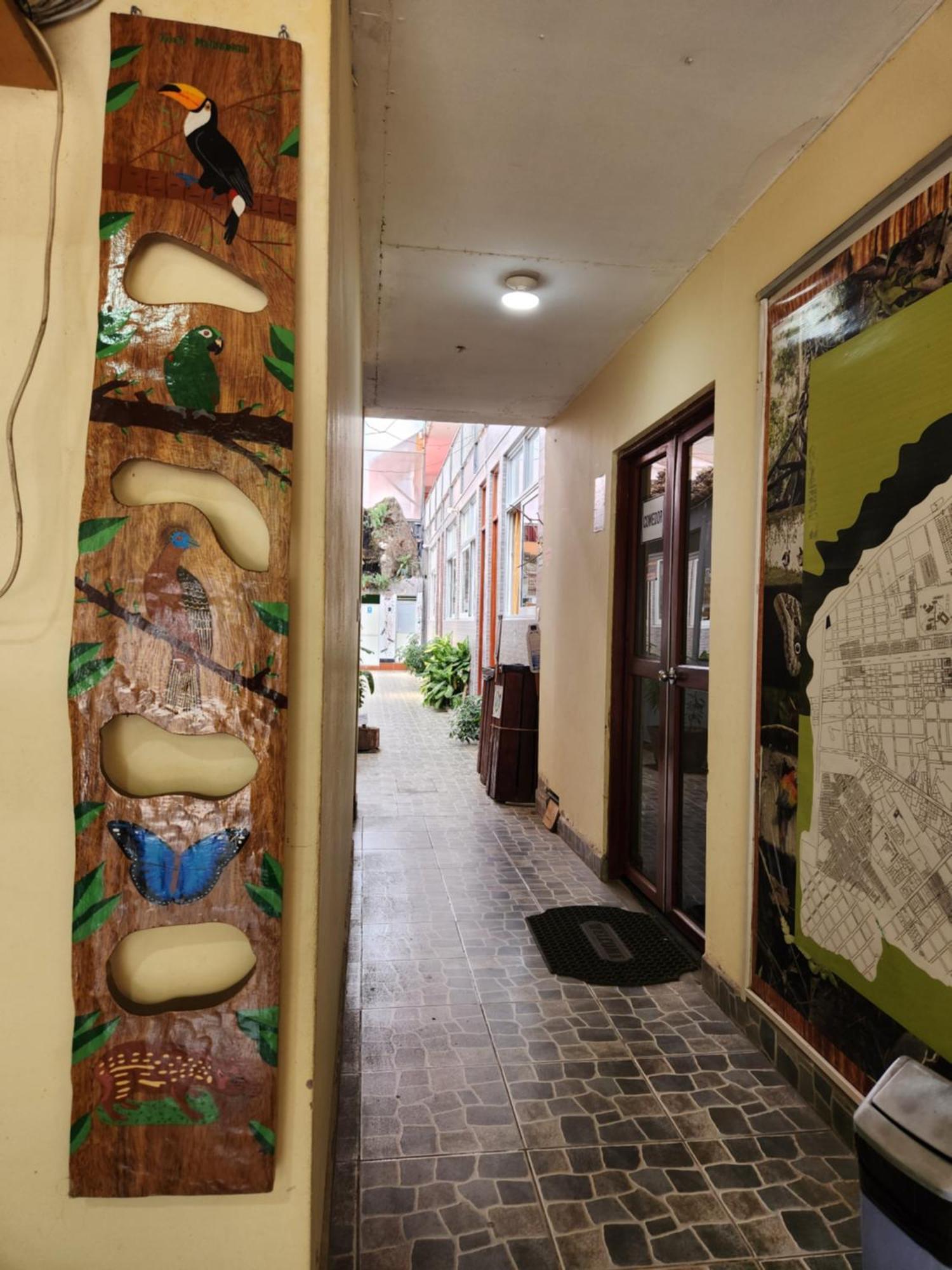 Libelula Hotel Puerto Maldonado Buitenkant foto